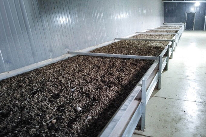 Manure drying system