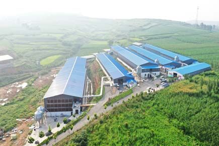 Layer Project In Luoyang City China