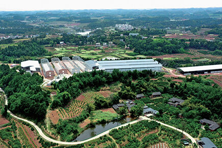 Layer project In Sichuan Province