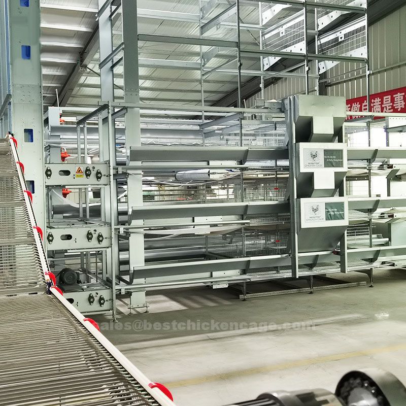 Why are chickens housed in battery cage system