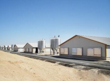 When and how to start a poultry house