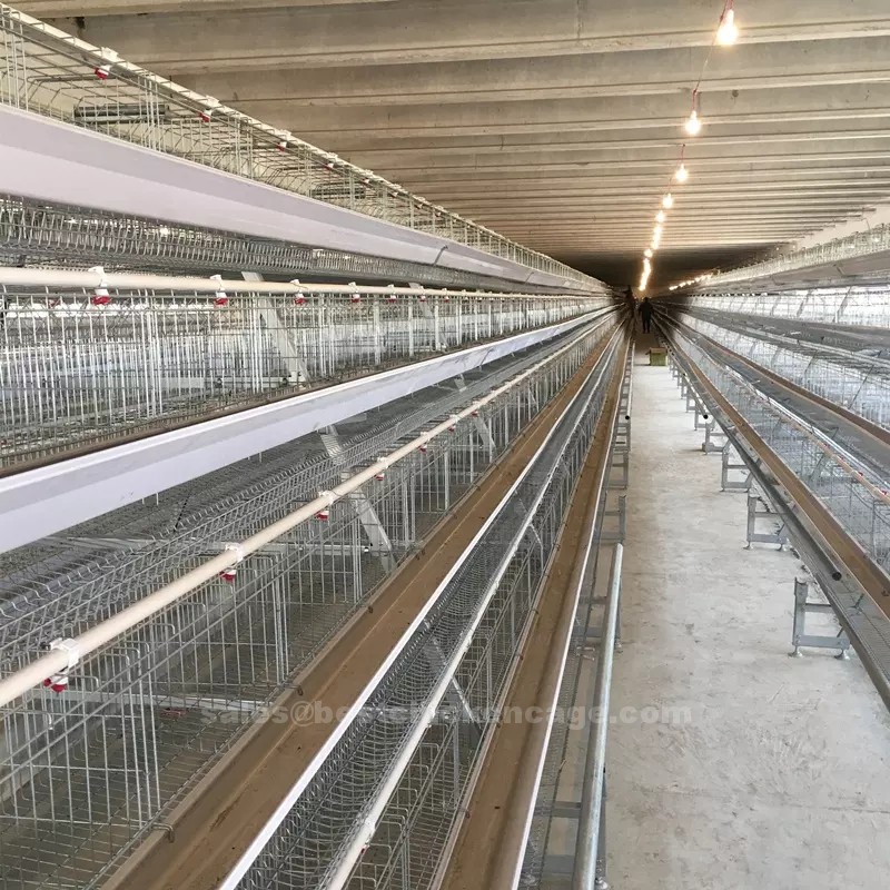 What are the types of chicken cage