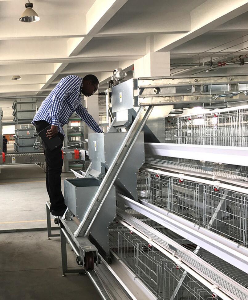 What is the highest middle or lowest cost of battery cage for layers in Nigeria