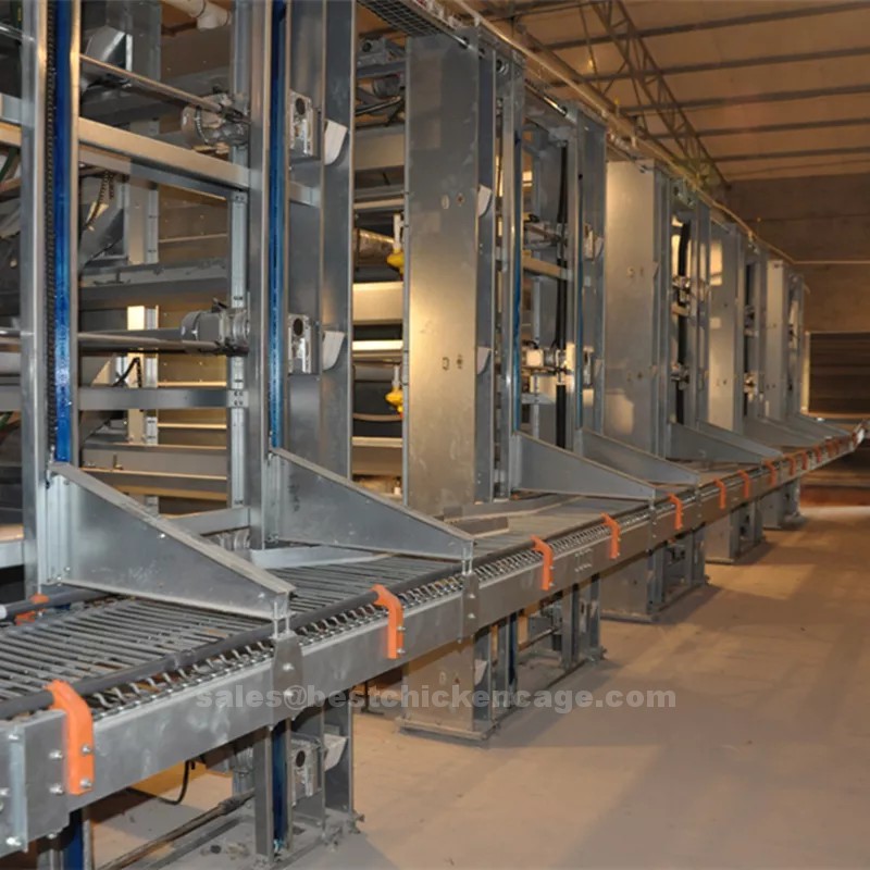 Automatic ladder type of features of battery cages and advantages