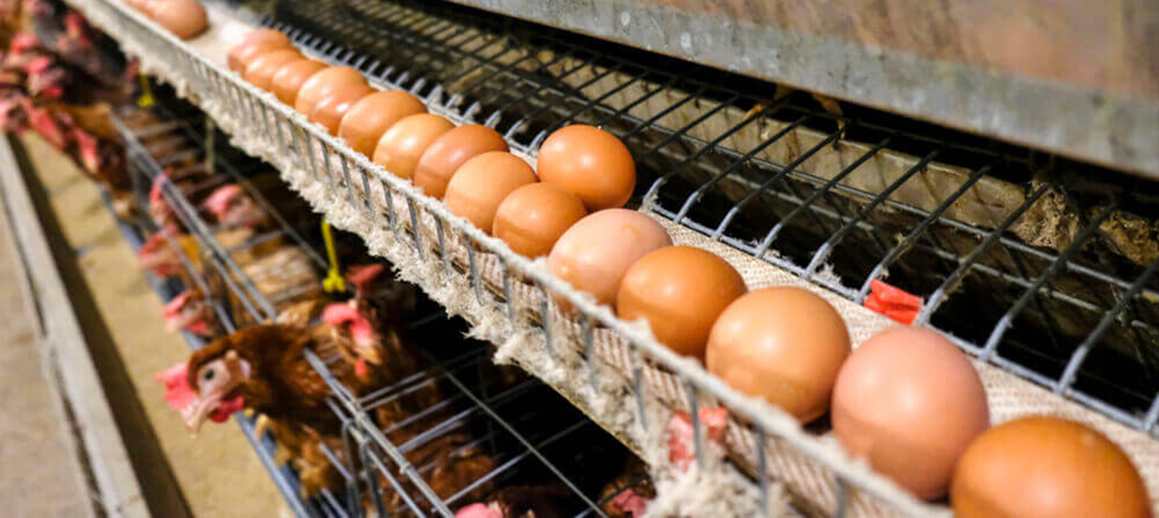 机器人手臂 (3).png