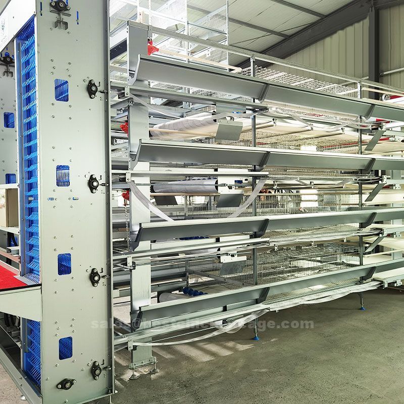 How much capacity is suitable for manual chicken cage and automatic battery cage respectively