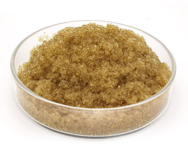 Anion exchange resin