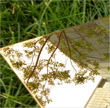 Stainless Steel Color Plate