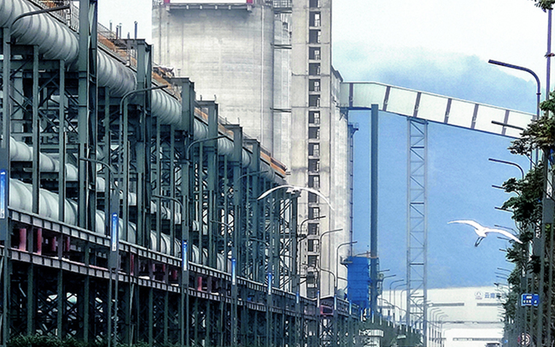 The factory environment is good, attracting egrets to fly