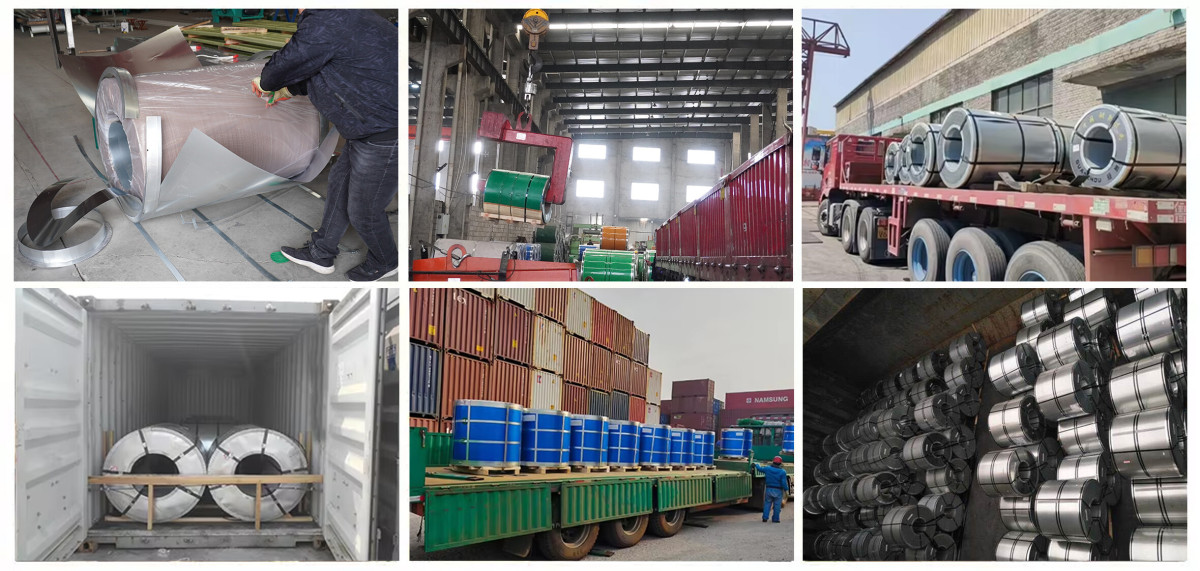 galvanized steel coil (3)