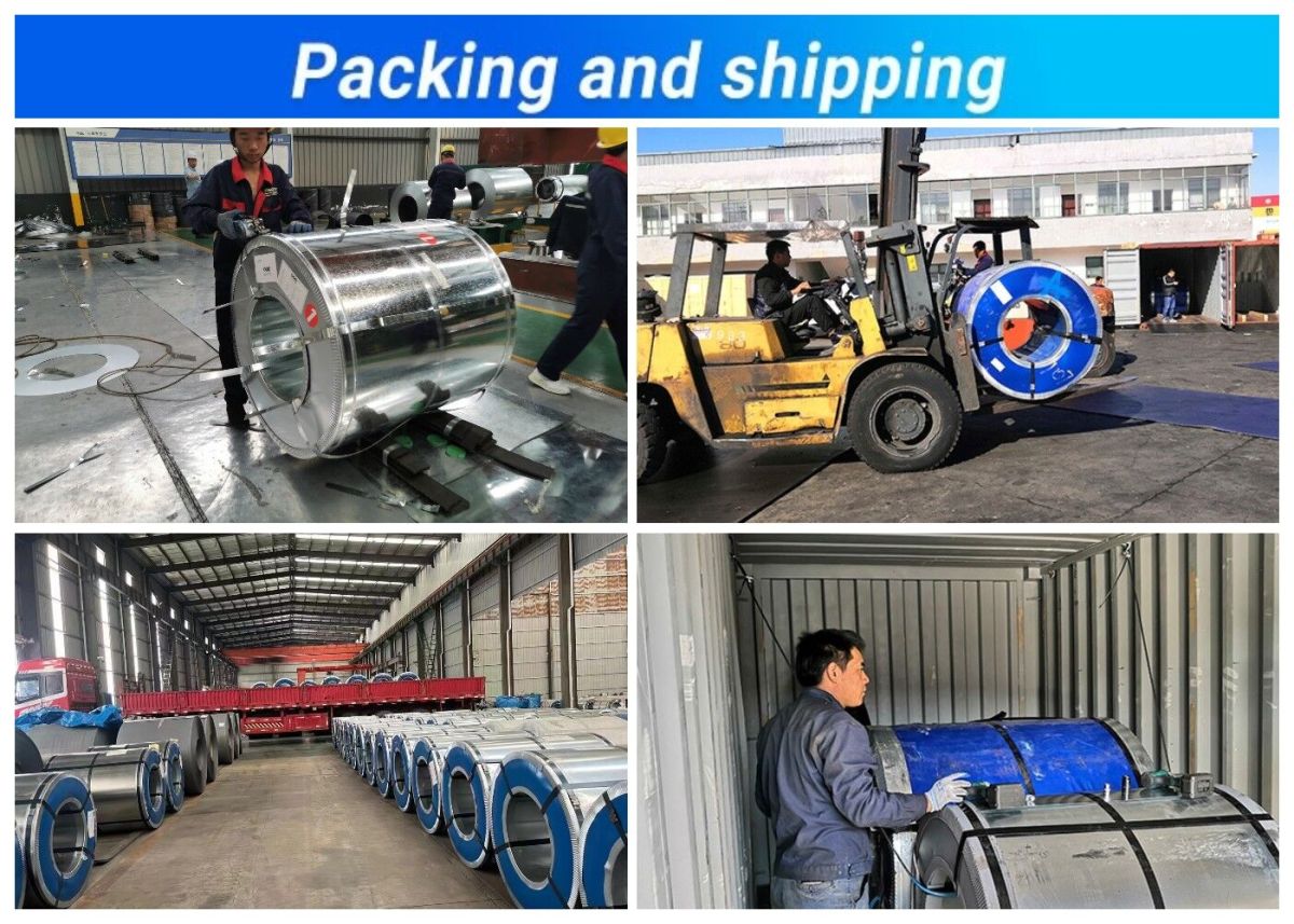 gi coils 包装.jpg gi coils 包装.jpg