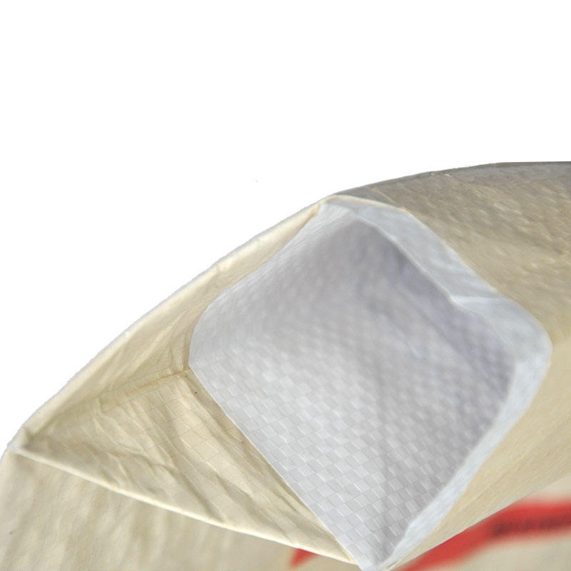 Custom Polypropylene Woven Valve AD STAR Bag for Tile Adhesive Packaging