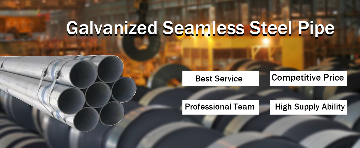 头部.jpg 头部.jpg