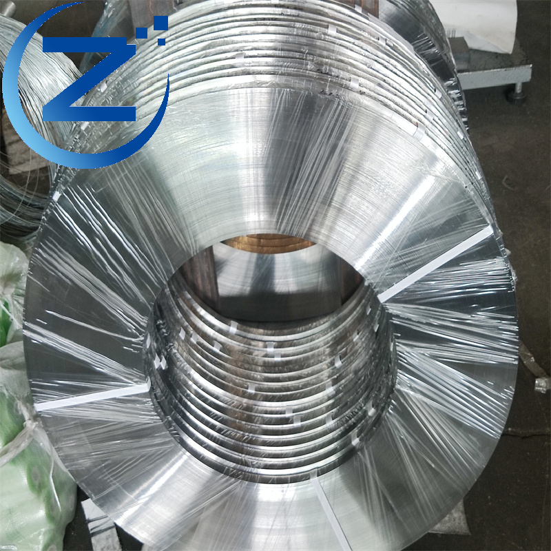 Stainless Steel Strip