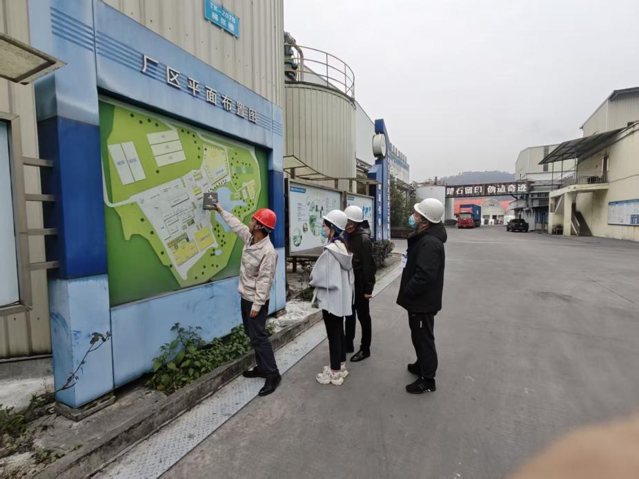 Deepen Industrial Understanding, Empower Global Business—Our Company Organizes Team to Conduct Specialized Training 