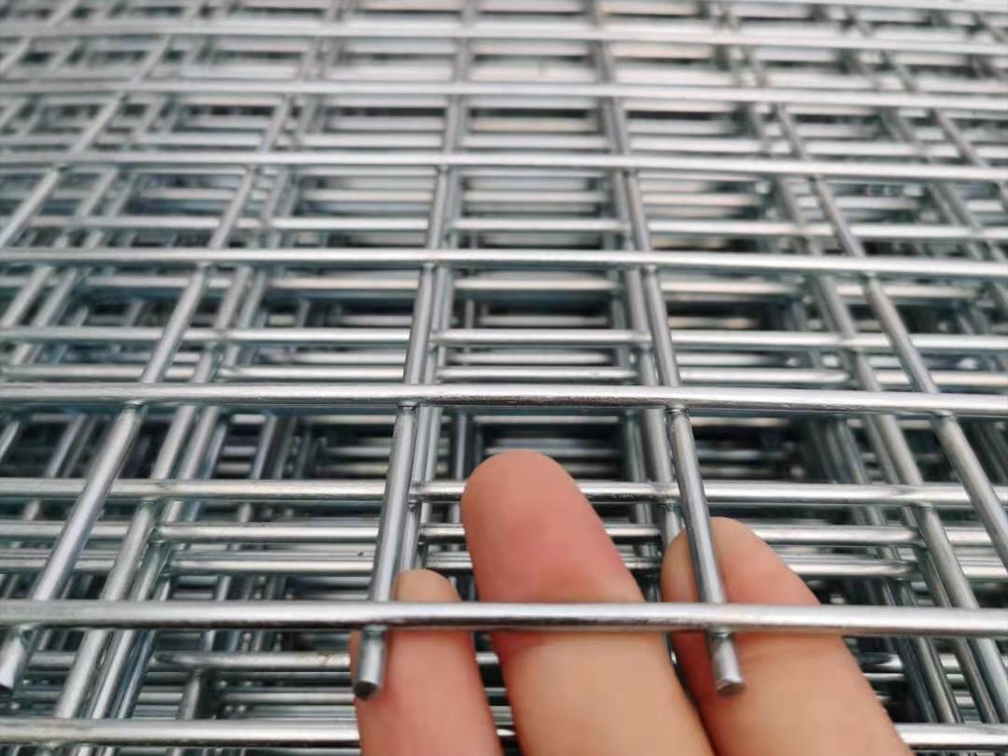 Electro-Galvanized Square Wire Mesh