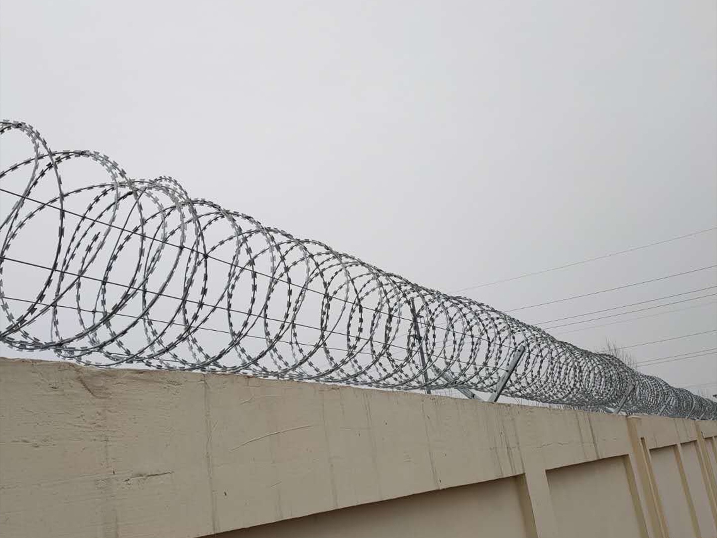 Galvanized Razor Wire