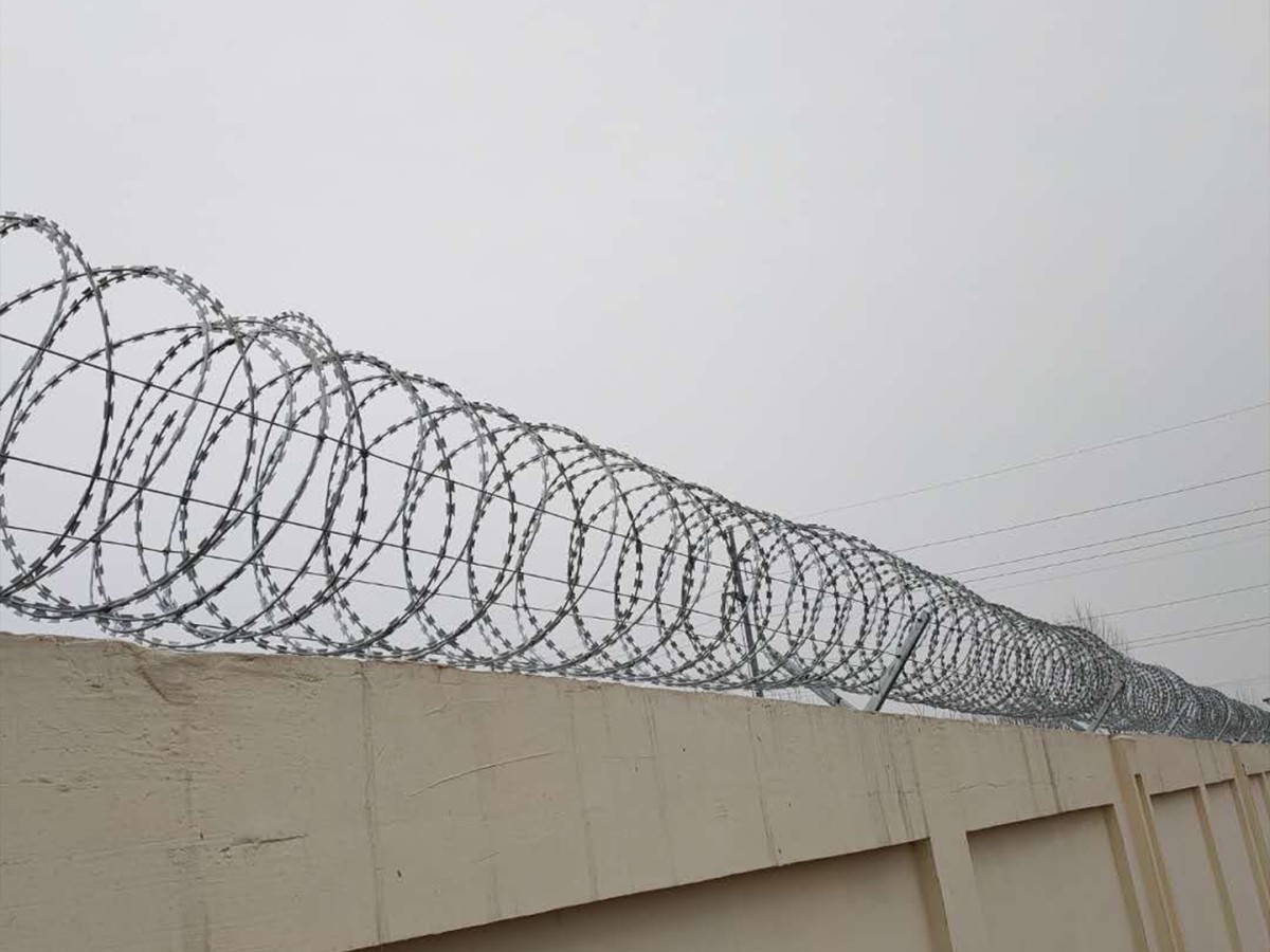 Hot-Dipped Galvanized Razor Wire Coil