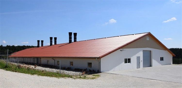 Good Price Prefabricated Prefab Light Steel Frame 