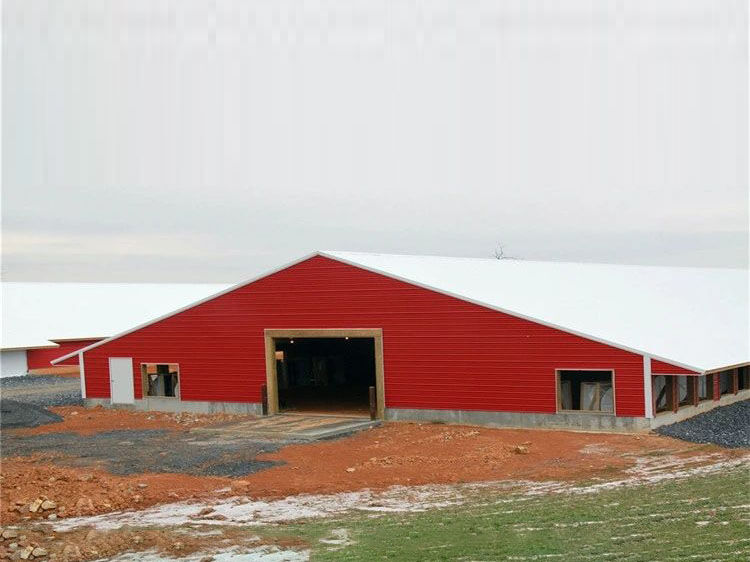 Good Price Prefabricated/ Prefab Light Steel Frame Construction Structure Modular Design Frame Chicken Poultry Farm House