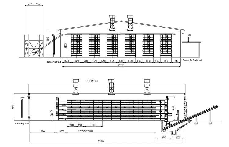 Angola Chicken Farm Poultry House