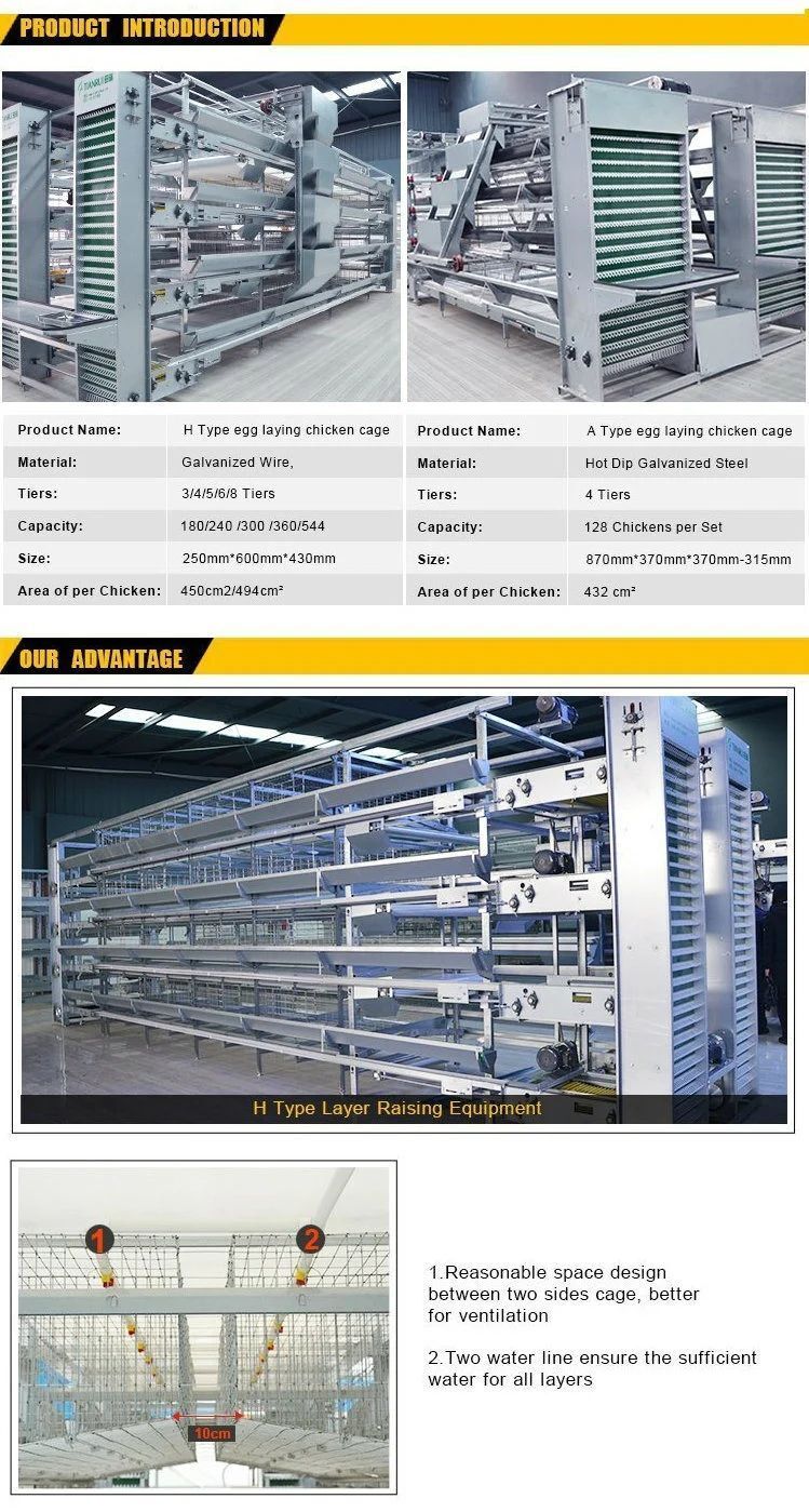 Steel Structure Broiler House 3.jpg