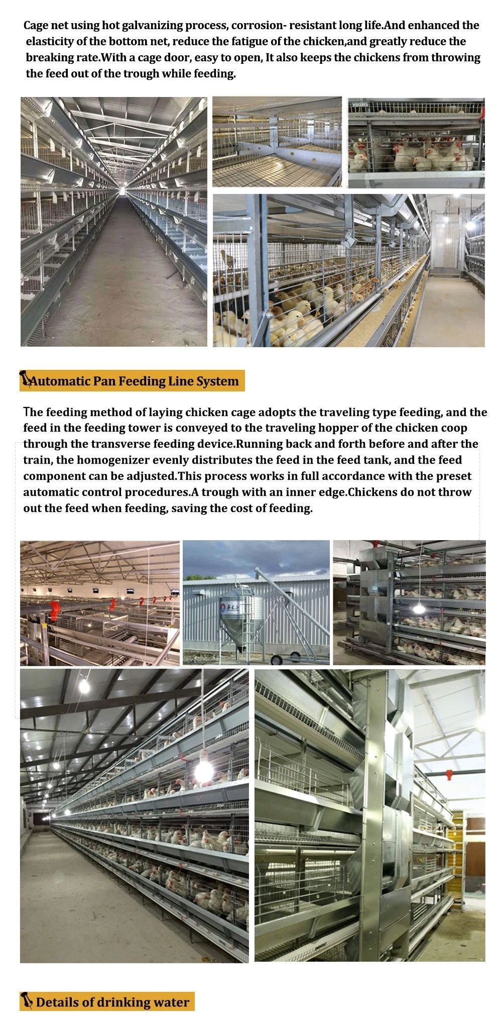 Steel Structure Broiler House 4.jpg