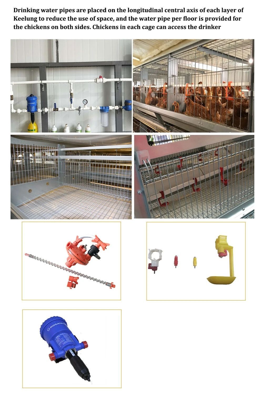 Steel Structure Broiler House 5.jpg