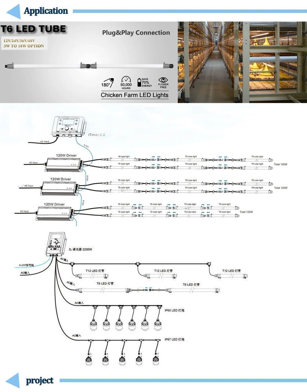 Steel Structure Broiler House 7.jpg