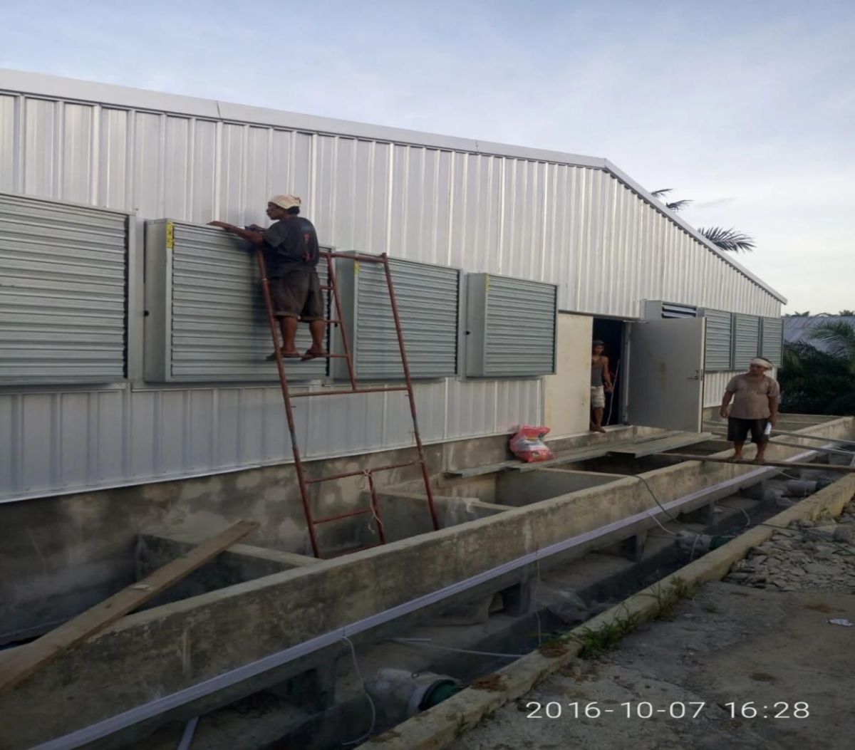 Steel Chicken HouseSteel Poultry Shed with Automat