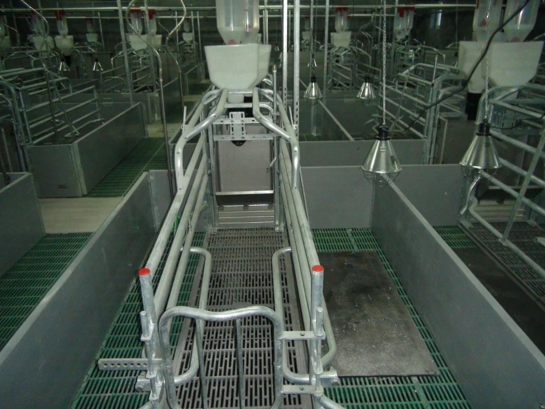 The Steel Structure Pig Farm B4.jpg