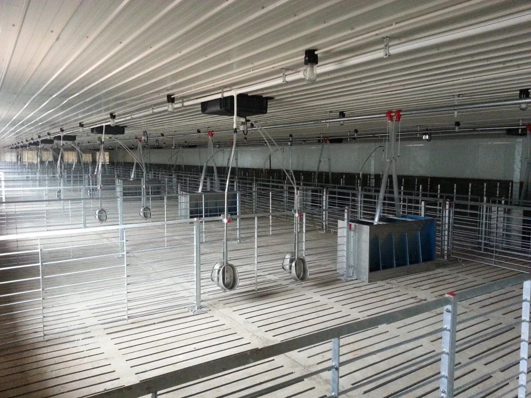 The Steel Structure Pig Farm B5.jpg