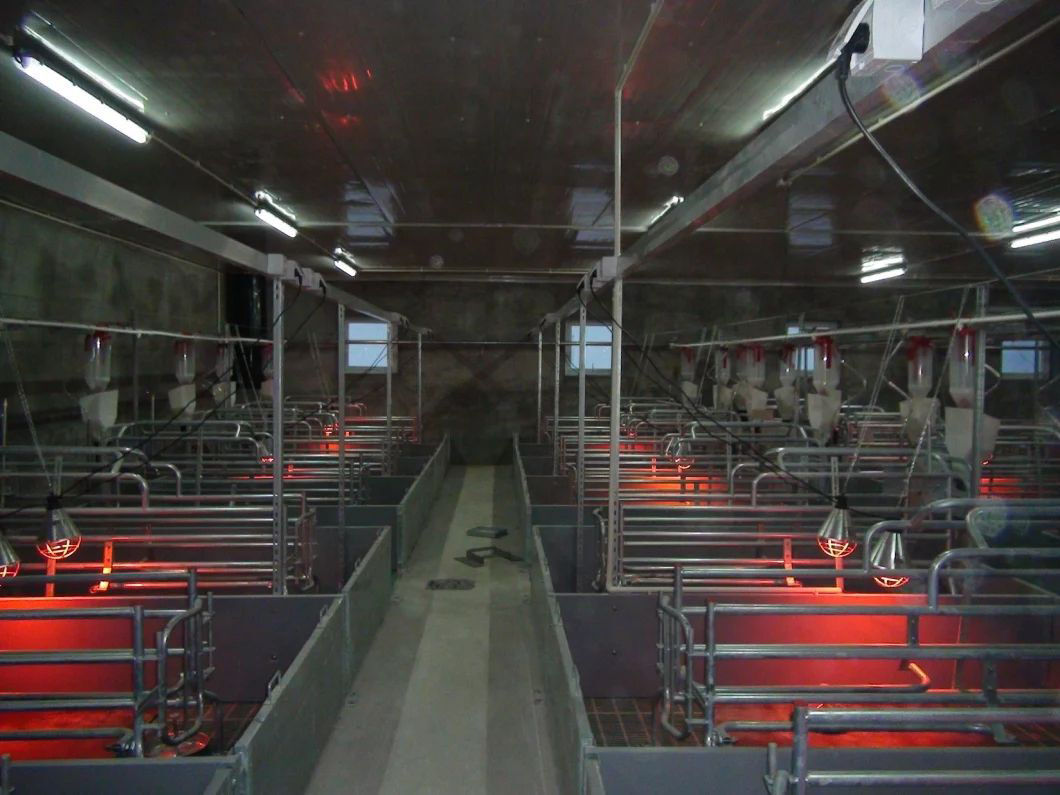 The Steel Structure Pig Farm B6.jpg