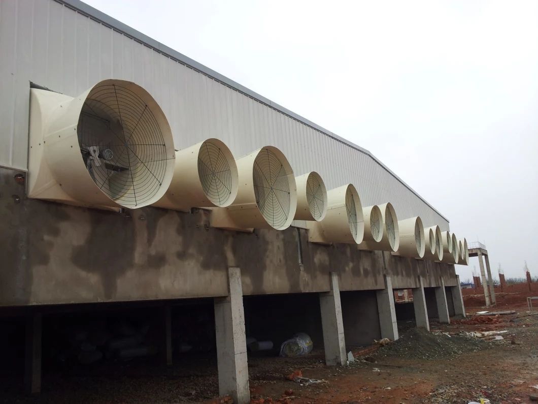 The Steel Structure Pig Farm B7.jpg