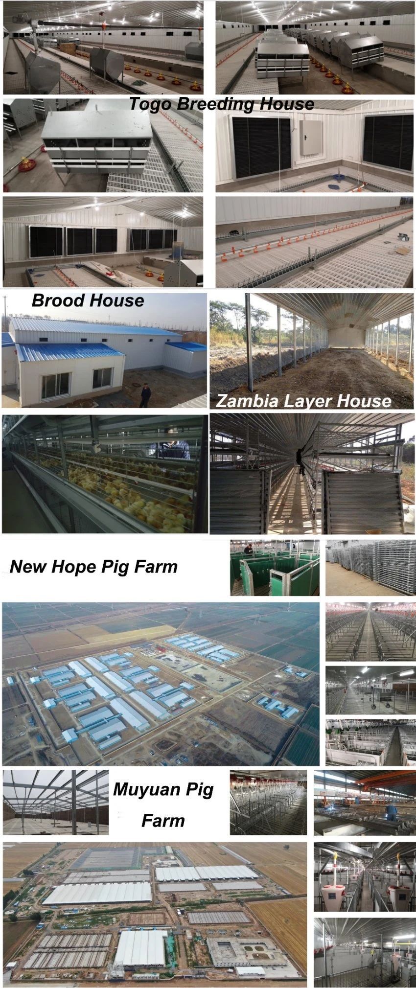 Pre-Fab Chicken Farm Breeder H5.jpg
