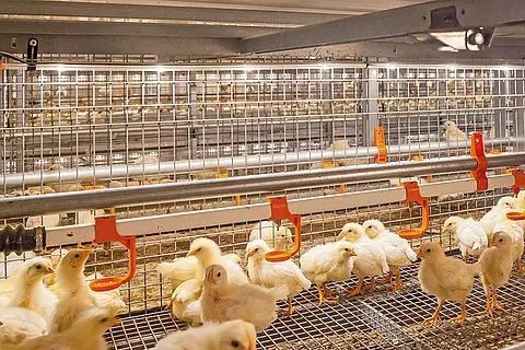 Prefabricated Industrial Galva10.jpg