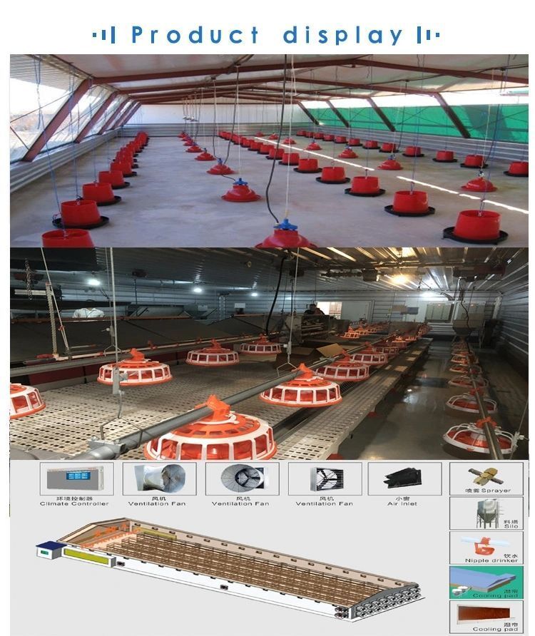 Good Price Prefabricated Prefab Light Steel Frame 
