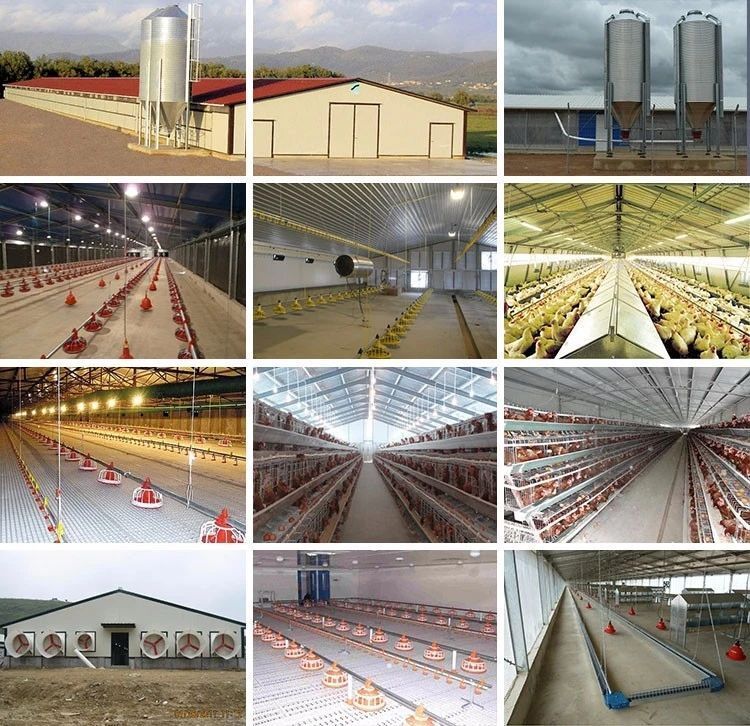 Good Price Prefabricated Prefab Light Steel Frame 