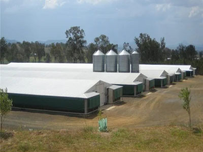 Steel Structure Broiler House for Chicken (BYPH202212611)