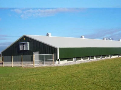 Steel Structure Broiler House for Chicken (BYPH202212611)