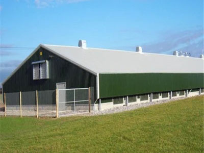 Steel Structure Broiler House for Chicken (BYPH202212611)