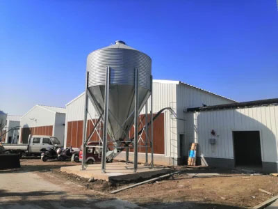 The Steel Structure Pig Farm Building