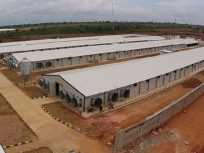The Steel Structure Pig Farm Building