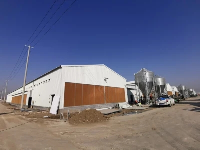 The Steel Structure Pig Farm Building