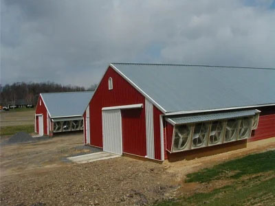 Pre-Fab Chicken Farm Breeder House