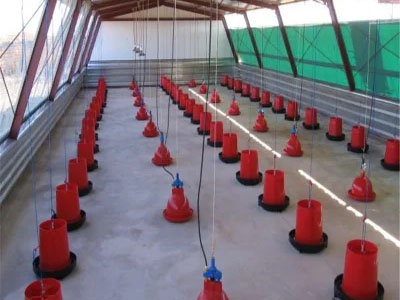 Pre-Fab Chicken Farm Breeder House