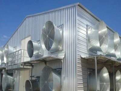 Reasonable Price Steel Frame Shed for Poultry Farm
