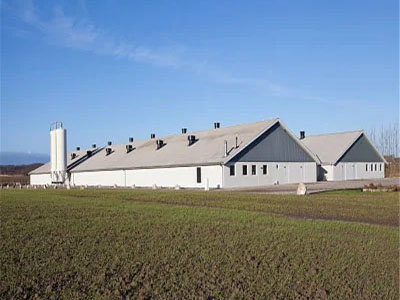 Reasonable Price Steel Frame Shed for Poultry Farm