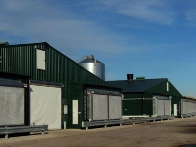 Reasonable Price Steel Frame Shed for Poultry Farm