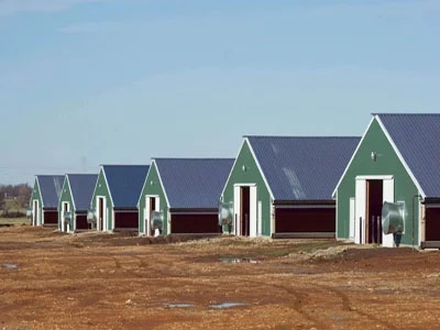 Prefabricated Industrial Galvanized Steel Structure Construction Building Corrosion Resisting Poultry House